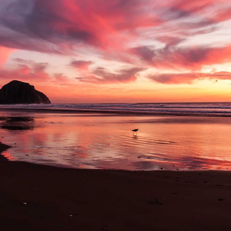 Eleganter Eichenholz-Servierplatte